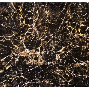 GRESIE ROYAL BLACK T60222G - 60X60 cm, porțelanată, lucioasă, cu aspect de marmura Emperador, inserții aurii spectaculoase, ideală pentru interioare elegante.