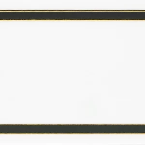PLACA DECOR FAIANTA FC-36PH2102-2 - 30X60 cm, portelanata, glazurata, lucioasă, cu inserții aurii, tehnologie nano inkjet și crystal silk printing.
