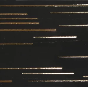 PLACA DECOR FAIANTA FC-NO02844B - 30X60 cm, portelanata, glazurata, rectificata, design modern cu inserții aurii pe fundal negru lucios, eleganță contemporană pentru interioare sofisticate.
