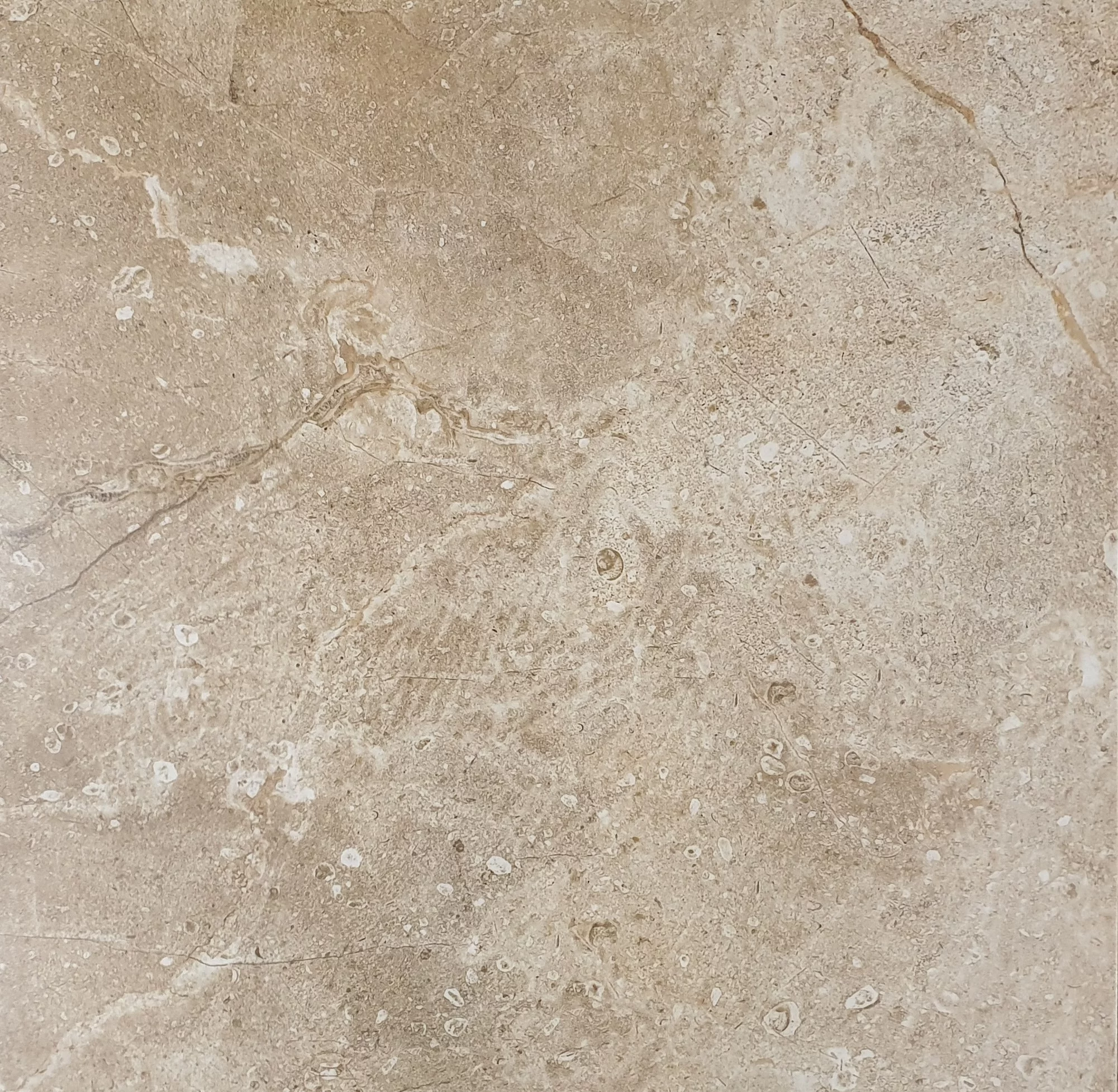 GRESIE NEW CINDERELLA BEIGE - 60X60 cm, ceramică glazurată mată, rectificata, în tonuri calde de bej si maro deschis, cu insertii albicioase, cu design uniform care imita textura pietrei naturale, ideală pentru interioare elegante și confortabile.