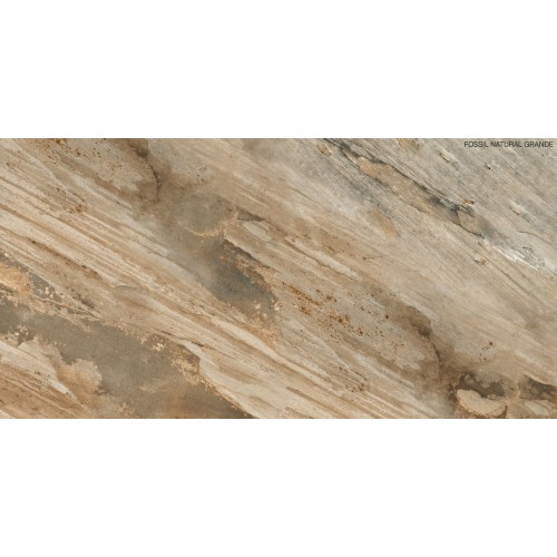 GRESIE FOSSIL NATURAL GRANDE 60X120