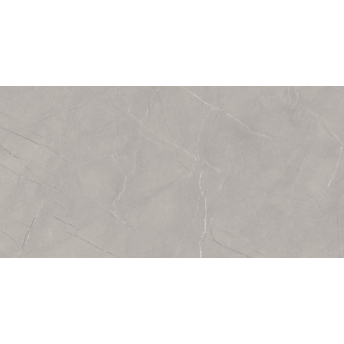 GRESIE GEOBERRY GRIS SGR 60X120