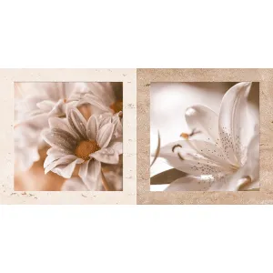 FAIANTA TRAVERTINE LILY 30186-HL-TV EVIA - 30X60 cm, ceramica glazurata, rectificata, mata, aspect floral, ideală pentru băi și bucătării elegante.