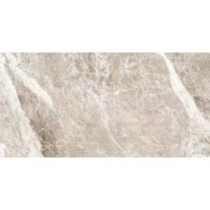 GRESIE PARNASSUS GREY MT - 30X60 cm, porțelanată, în nuanțe de gri deschis cu vene albe fine, aspect de piatră naturală mată, ideală pentru interior și exterior.