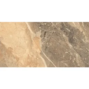 GRESIE HAVOC GOLD - 60X120 cm, porțelanată, rectificată, glazurată, finisaj lucios, tonuri aurii-maro cu nervuri contrastante, pentru interior și exterior.