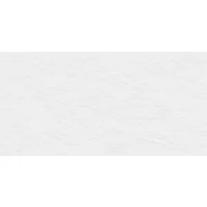 GRESIE STONELIFE ICE - 60X120 cm, porțelanată, în nuanță de alb-gheață pur, cu aspect uniform și textură discretă de piatră naturală, finisaj mat punch carving, ideală pentru interior și exterior.