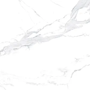 GRESIE AVENZO SILVER F P - 60X60 cm, porțelanată, mată, rectificată, aspect marmură alb-argintiu, random 4, interior/ exterior.