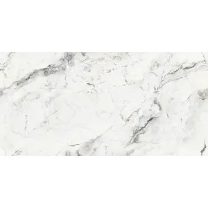 GRESIE THASSOS WHITE 60X120 CM