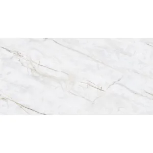 GRESIE FAME WHITE - 60X120 cm, porțelanată, aduce eleganța clasică a marmurei albe cu nervuri discrete gri-aurii, completată de un finisaj lucios ce transformă orice spațiu într-un decor sofisticat și modern.