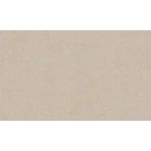 TAPET PVC ROYAL 95061 - 106X1000 cm (10.6 mp/rolă), cu textură fină în nuanțe calde de bej deschis. Design elegant, uniform, ideal pentru interioare moderne, clasice sau minimaliste.