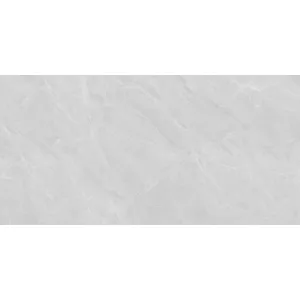 GRESIE SAGA GRIS 60X120 CM