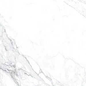 GRESIE 38035-LF COCONUT - 30X30 cm, ceramica glazurată, rectificată, cu finisaj mat, aspect de marmura alba cu venatura gri, ideală pentru placarea pardoselilor la interior.