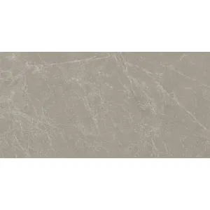 GRESIE MENDOZA GREY GHR - 60X120 cm, portelanata, rectificata, finisaj mat structurat, aspect de marmura naturala, nuanță gri, ideală pentru placări interioare și exterioare, pereți și pardoseli.