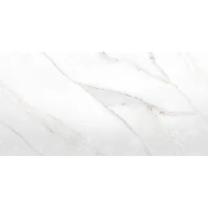 GRESIE MULTICARVING CR E MOONLESS SATVARIO ENDLESS - 60X120 cm, portelanata, rectificata, finisaj multicarving mat, aspect de marmura endless albă cu venatura gri-auriu, ideală pentru interioare si exterioare rafinate.