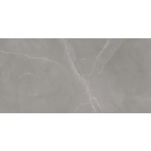 GRESIE ARMANI ASIAGO 60X120 CM are un aspect elegant de marmură gri și un finisaj lucios, fiind potrivită atât pentru amenajări interioare clasice, cât și pentru cele moderne.