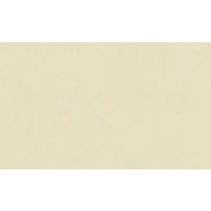 TAPET PVC ROYAL 95068 - 106X1000 cm (10.6 m²/ rola), PVC, lavabil, aspect uniform uni, bej deschis, cu textură fină, ideal pentru decoruri neutre, luminoase, moderne.