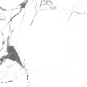 GRESIE BLACK INK MARBLE AC-12369 LT FLOOR - 30X30 cm, ceramica glazurata, rectificata, suprafata mata, antiderapanta, aspect marmură albă cu vinișoare negre si gri, pentru interior.